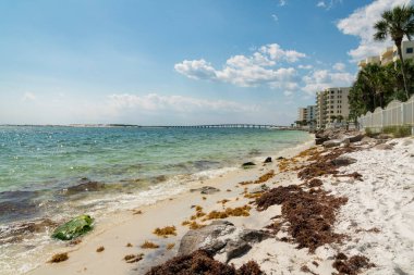 Destin, Florida Körfezi 'nde büyük kayalar ve deniz yosunlarıyla dolu bir sahil. Sağ taraftaki ağaçlar ve binalar boyunca çitlerin manzarası ve sağ taraftaki okyanus üzerinde gökyüzüne karşı köprü var..