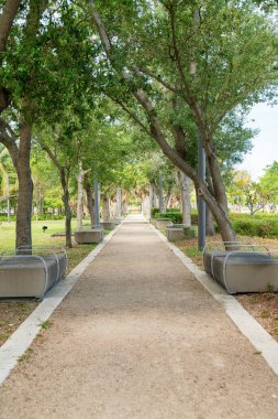 Miami, Florida 'da ağaçların yanında beyaz çizgileri ve koltukları olan bir yol. Ağaçların ve bitkilerin ortasındaki toprak yol..