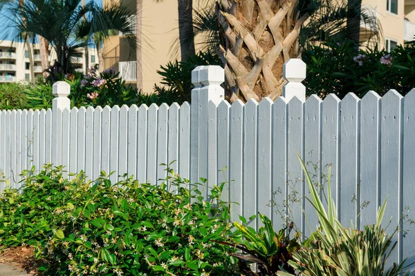 Destin, Florida- Plants near the painted white wood fence. Outdoor fence with green plants at the front and a view of trees and buildings at the background.