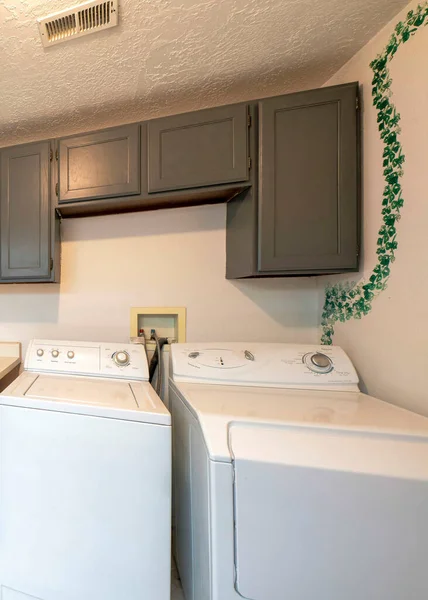 Vertical Laundry room exterior with laundry units and gray colored cabinets and drawers. There is a white wall with a painted green vines on the sides.