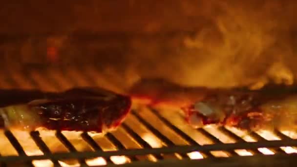 Die Professionelle Zubereitung Von Fleisch Auf Dem Grill Hochwertiges Fullhd — Stockvideo