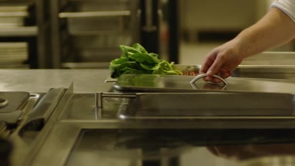 Élelmiszer Professzionális Elkészítése Kiszerelése Tálcán Főzök Kiváló Minőségű Fullhd Felvételek — Stock videók