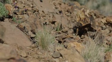 Taşlar ağır çekimde düşüyor.