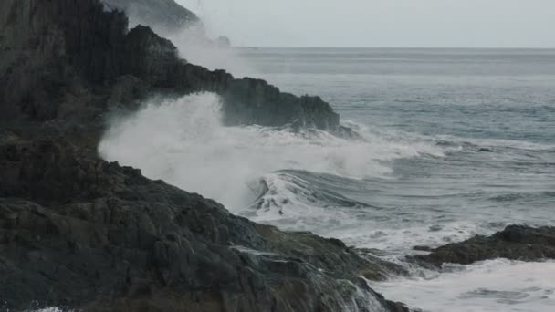 在海洋中的岩岸 — 图库视频影像