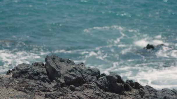 Přívalové Vlny Oceánu — Stock video