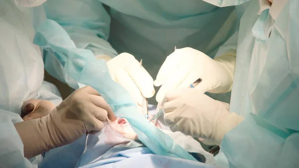 Nahaufnahme Aufmerksamer Aufmerksamer Ärzte Die Oralchirurgie Krankenhaus Durchführen Zahnärztliche Instrumente — Stockfoto