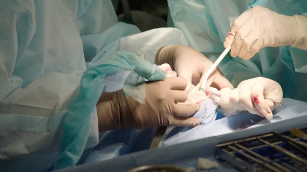 Close Shot Attentive Attentive Doctors Performing Oral Surgery Hospital Dental — Stock Photo, Image