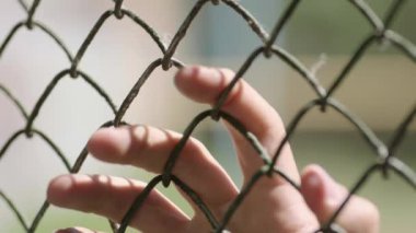 İki el tel örgülerin arasından birbirine dokunuyor. Yüksek kaliteli HD görüntüler