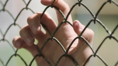İki el tel örgülerin arasından birbirine dokunuyor. Yüksek kaliteli HD görüntüler