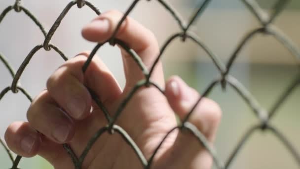 Two Hands Touching Each Other Metal Mesh Fence High Quality — Stock Video