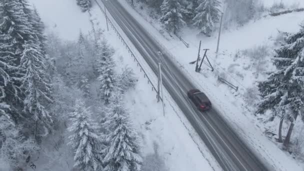 吹雪の鳥の目の車のビューで雪氷の道を運転車のドローンからのトップビュー — ストック動画