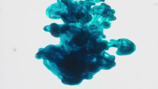 Modrý Inkoust Šíří Vodě Abstraktní Pozadí — Stock video