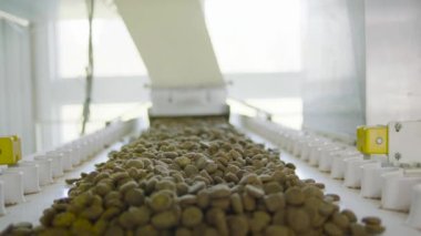 Hayvanları besleme süreci. Köpekler ve kediler için yemek hazırlama süreci. Evcil hayvanlar için yemek.