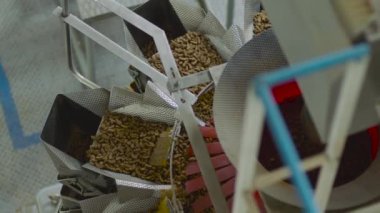 Köpekler ve kediler için fabrika üretim hattı. Girişim bir hayvan yemi üreticisi..