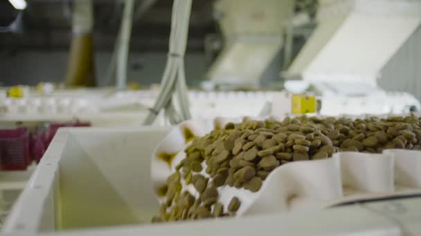 Proces Výroby Krmiv Pro Zvířata Pracovní Proces Přípravy Krmiva Pro — Stock video