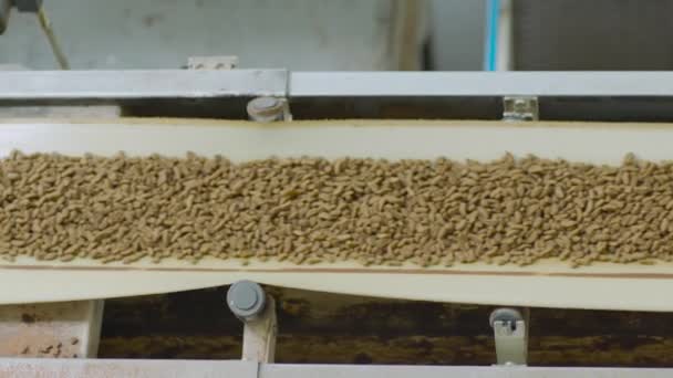 Der Prozess Der Futtermittelherstellung Der Arbeitsprozess Der Futterzubereitung Für Hunde — Stockvideo