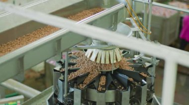 Köpekler ve kediler için fabrika üretim hattı. Girişim bir hayvan yemi üreticisi..