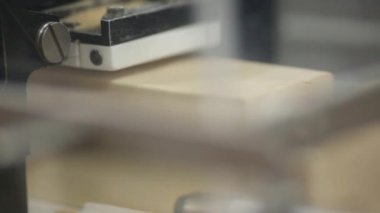 Maya üretimindeki taşıyıcı. Tereyağı, sos, margarin, maya. Gıda endüstrisi taşıyıcısı. Ürünün dikdörtgen parçaları paketlenmeden önce bir taşıyıcı hat boyunca hareket eder.