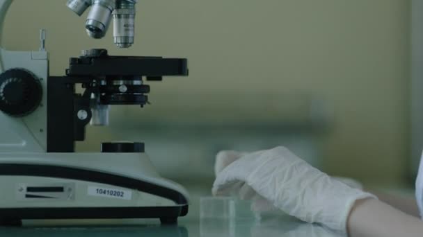 Apropiere Microscopului Care Fost Pregătit Înainte Începerea Lucrului — Videoclip de stoc