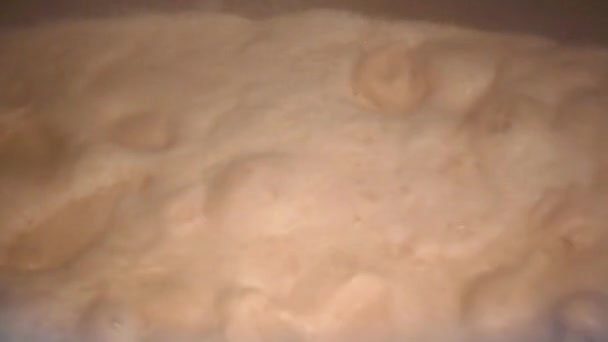Hefevorbereitung Produktion Von Hefe Butter Margarine Brotaufstrich — Stockvideo