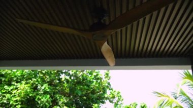 Tavan vantilatörü ahşap tavan vantilatörü yavaşça dönüyor ve hava sirkülasyonu havalandırma vantilatörü tavan ahşap çatı zemininde soğutuyor.