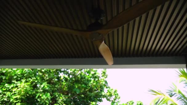 Вентилятор Деревянной Крыше Электрический Потолочный Вентилятор Медленно Вращается Циркуляция Воздуха — стоковое видео