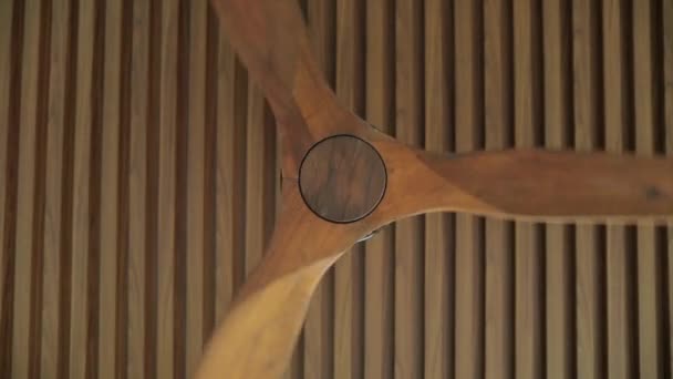 Deckenventilator Auf Holzdach Elektrischer Deckenventilator Der Sich Langsam Dreht Und — Stockvideo