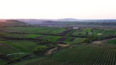 Bir tarımsal alanın ve yeşil tarlaların hava görüntüleri. Tarım endüstrisi. Ukrayna 'nın tarım bölgesi, Avrupa Sineması hava çekimi. Toprağın güzelliği. 4K 'da çekilmiş, İHA videosu..