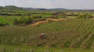 Küçük bir traktör elma ağaçlarıyla dolu bir tarlada çalışır. Ukrayna 'da endüstriyel ölçekte çiçek açan bir elma bahçesinin bahar görüntüleri..