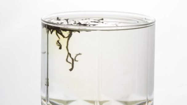 Preparação Chá Preto Uma Xícara Vidro Transparente Close Despejar Chá — Vídeo de Stock