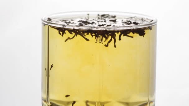 透明なガラスカップ クローズアップで黒茶の準備 お茶を水に入れる — ストック動画