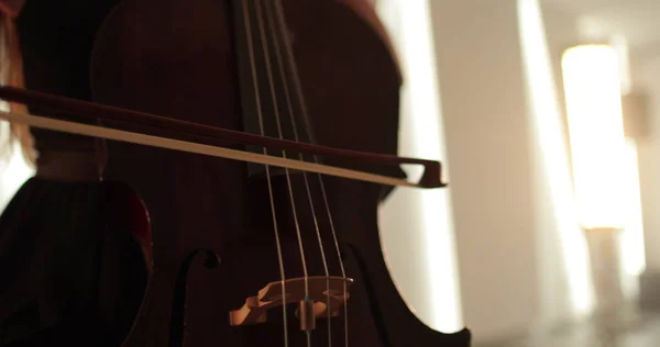 Svobodná Žena Hrající Violoncello Detailní Záběr Střední Detail Cello Luk — Stock fotografie