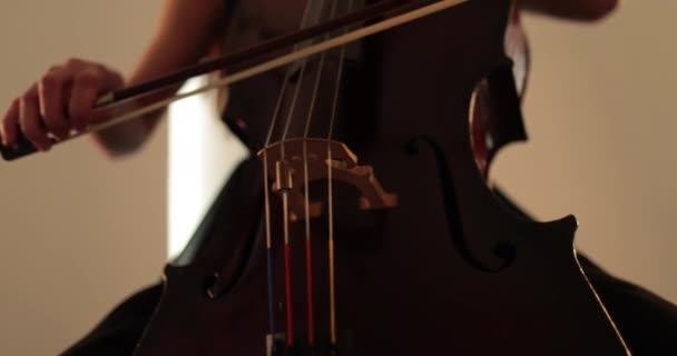 Svobodná Žena Hrající Violoncello Detailní Záběr Střední Detail Cello Luk — Stock video
