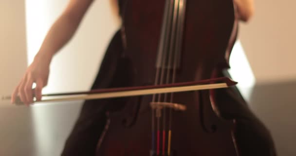 Single Woman Playing Cello Close Medium Close Cello Bow Strings — Stock Video