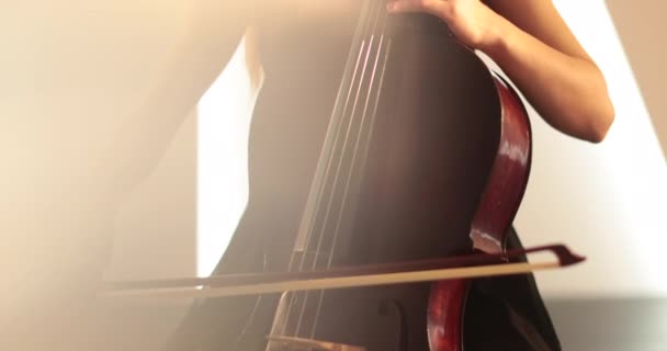 Svobodná Žena Hrající Violoncello Detailní Záběr Střední Detail Cello Luk — Stock video