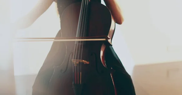 Single Woman Playing Cello Close Medium Close Cello Bow Strings — Stock Photo, Image