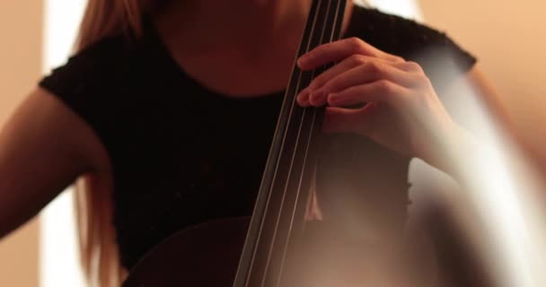 Single Woman Playing Cello Close Medium Close Cello Bow Strings — Stock Video