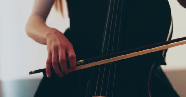 Svobodná Žena Hrající Violoncello Detailní Záběr Střední Detail Cello Luk — Stock video