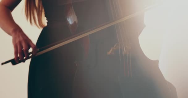 チェロ クローズアップ ミディアムアップ チェロの弓と弦を演奏する独身女性 フォーカスからアウトフォーカスへのカメラの円滑な移行 美しい映画 芸術的なショット — ストック動画