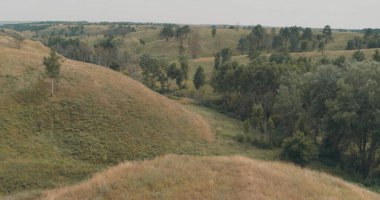 Bir kuşun gözünden doğanın güzel bir görüntüsü. Tarlalar, ağaçlar, tepeler ve yeşil çalılar.