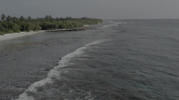 Fotografuję Wybrzeże Malediwów Drona Zdjęcie Lotu Ptaka Plaży Nagranie Bez — Wideo stockowe