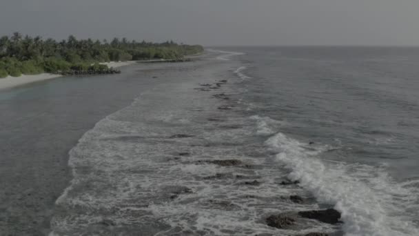Фотографування Узбережжя Мальдівського Острова Дрона Повітряна Фотографія Пляжу Кадри Корекції — стокове відео