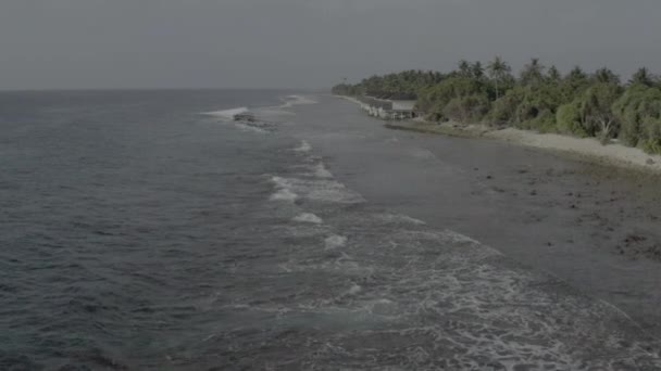 用无人驾驶飞机拍摄马尔代夫岛海岸的照片 海滩的航拍照片 无色彩校正的图像 — 图库视频影像