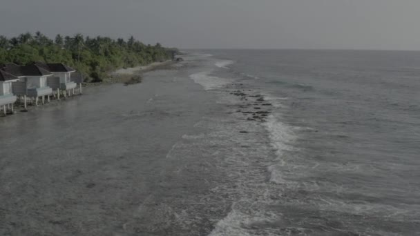 用无人驾驶飞机拍摄马尔代夫岛海岸的照片 海滩的航拍照片 无色彩校正的图像 — 图库视频影像
