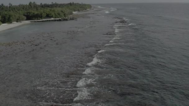 Fotografuję Wybrzeże Malediwów Drona Zdjęcie Lotu Ptaka Plaży Nagranie Bez — Wideo stockowe