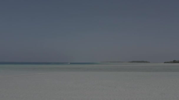 Чудові Кадри Води Піску Мальдівському Острові Безпілотного Літального Апарату Кадри — стокове відео