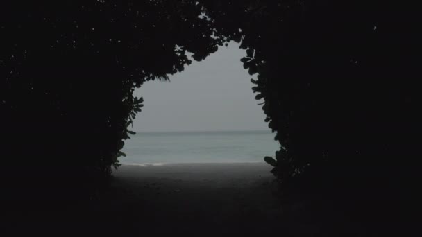 Летающий Через Туннель Деревьев Открытой Воде Красивого Тропического Пляжа Кадры — стоковое видео