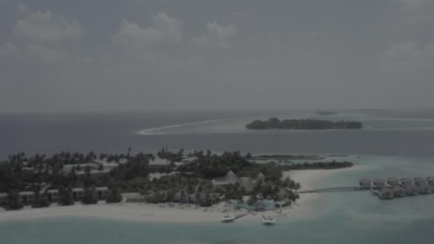 Une Vue Magnifique Sur Les Îles Tropicales Des Maldives Photographie — Video
