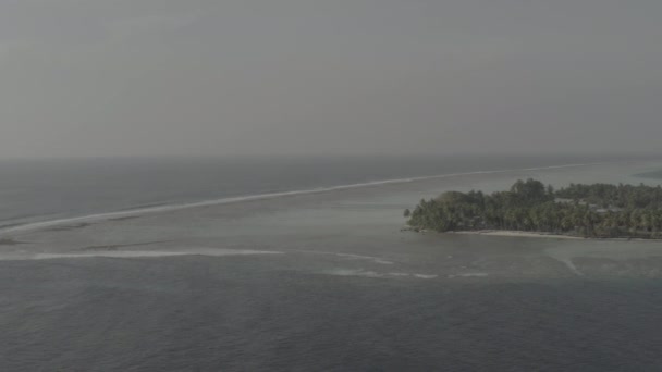 Una Splendida Vista Volo Uccello Sulle Isole Tropicali Delle Maldive — Video Stock