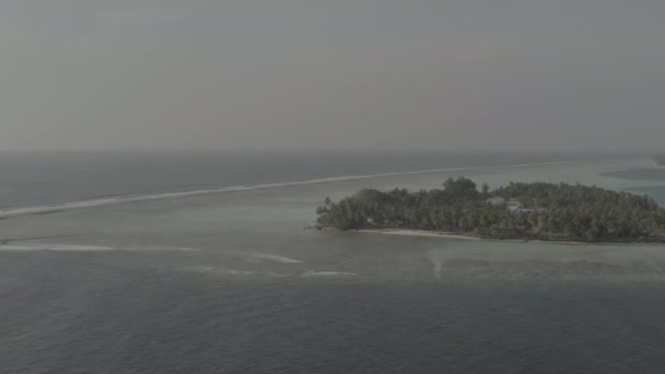 马尔代夫热带岛屿的美丽鸟瞰 热带异国情调岛屿的航空摄影 无色彩校正的图像 — 图库视频影像